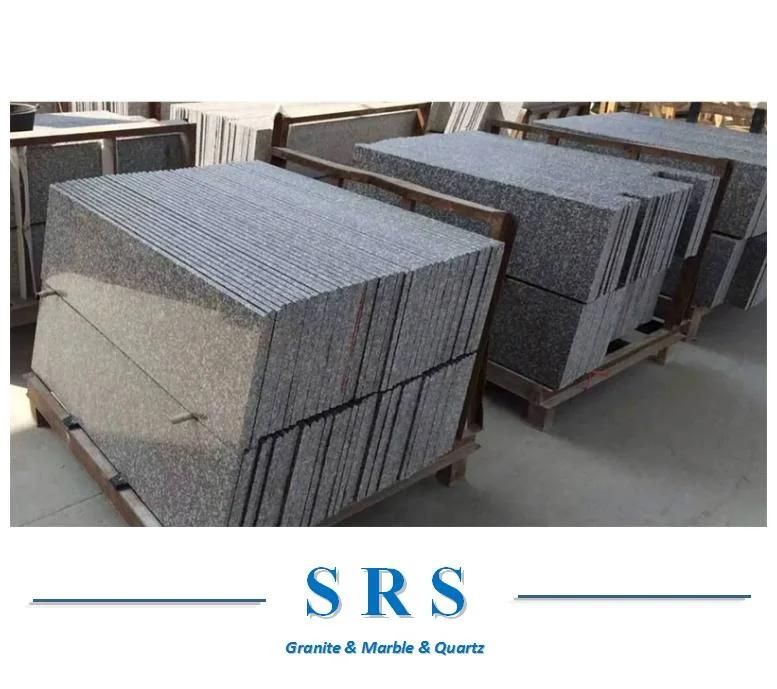 G664 Granite for Kitchen Countertops/Wall/Flooring/Tile/Stair Steps/Tombstone/Fountain/Vanity Top/Paving Stone