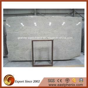 Popular India Kashmir White Granite Slabs