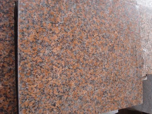 China Polished G562 Maple Red Granite