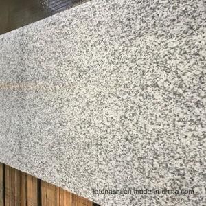 White and Grey Granite for Countertop Slabs and Flooring Tiles