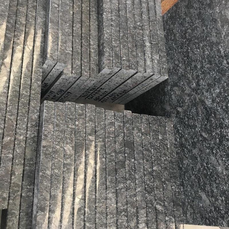 Steel Grey Granite for Bathroom/Kitchen/Slab/Tile/Stair