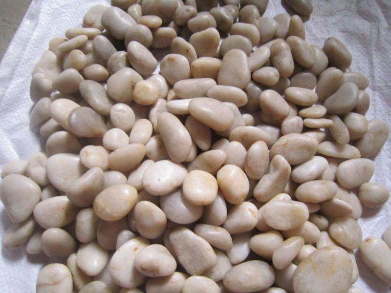 Natural Garden Pebble Rock Natural Cobblestone Paving Stone