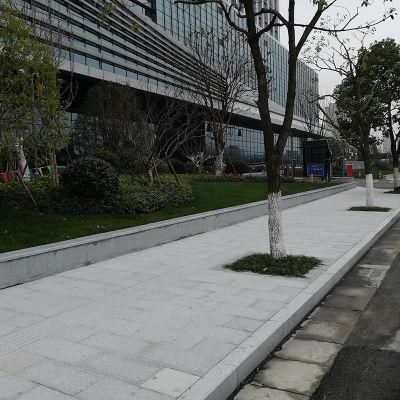 Natural Grey Granite for Building Exterior and Interior Walls Decoration and Paving Stone