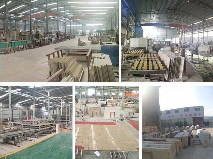 G603/G602/G562/G682/G664/G654/G655/G687 Granite Slab/Tiles/Treade/Staris Yellow/Red/White/Black/Grey/Pink/Green/Brown/Beige/Blue Granite Countertop