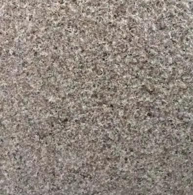 Cheap Stone Granite Slab with Dry Stone for Office Walls and Stairs
