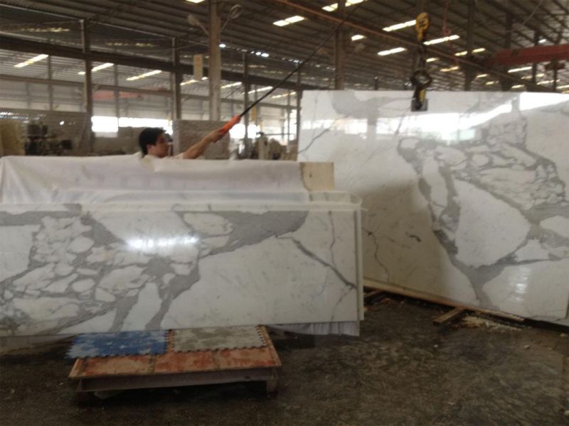 Calaeatta White Stone Marble for Flooring Tiles Slabs Countertops/Worktops/Vanitytops
