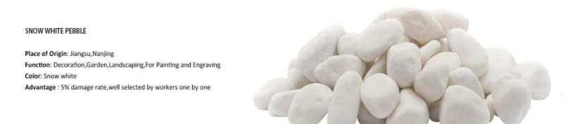 Tumbled Marble Chips Snow White Pebble Stone