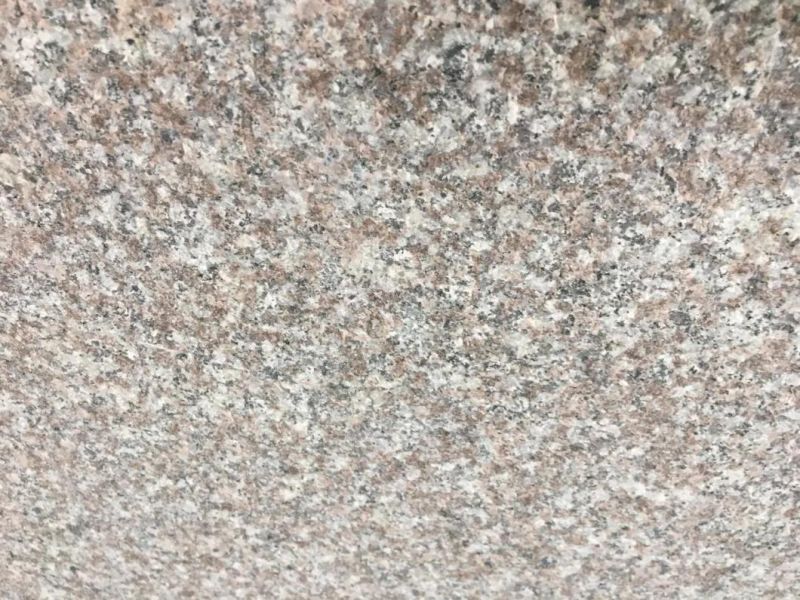 G640 Grey Color Granite Slabs and Tiles Used for Walls or Floorings and Countertops
