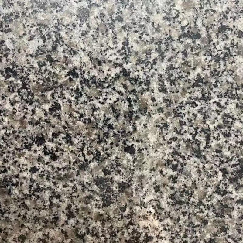 Natural Stone Silver Crayon Gray Granite Countertop / Fame and Fortune Top / Work Top / Steps