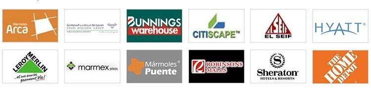 Hot Sell China Black Slate Tiles, Slate Mushroom Tiles, Slate Roofing Tiles
