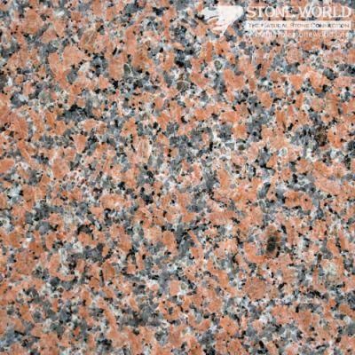 Polished Red Balmoral Granite for Countertops &amp; Vanities (MT012)