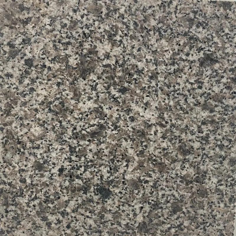 Natural Granite/Granite Tile/Granite Stone/Floortile/Wall Tile/Granite/Natural Stone