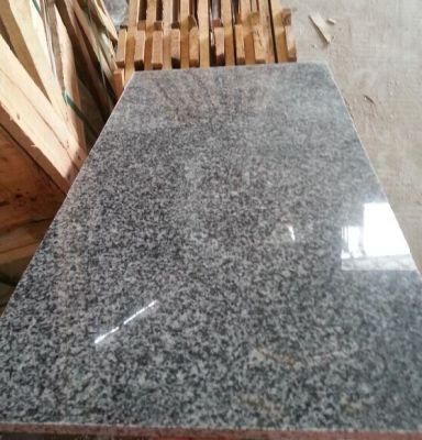 Chinese Cheap Polished G654 Grey Granite on Promotion