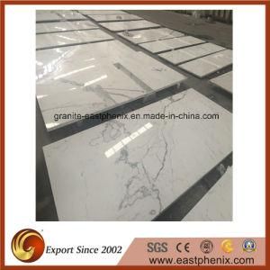 Calacatta White Marble Stone Tile for Wall Tile