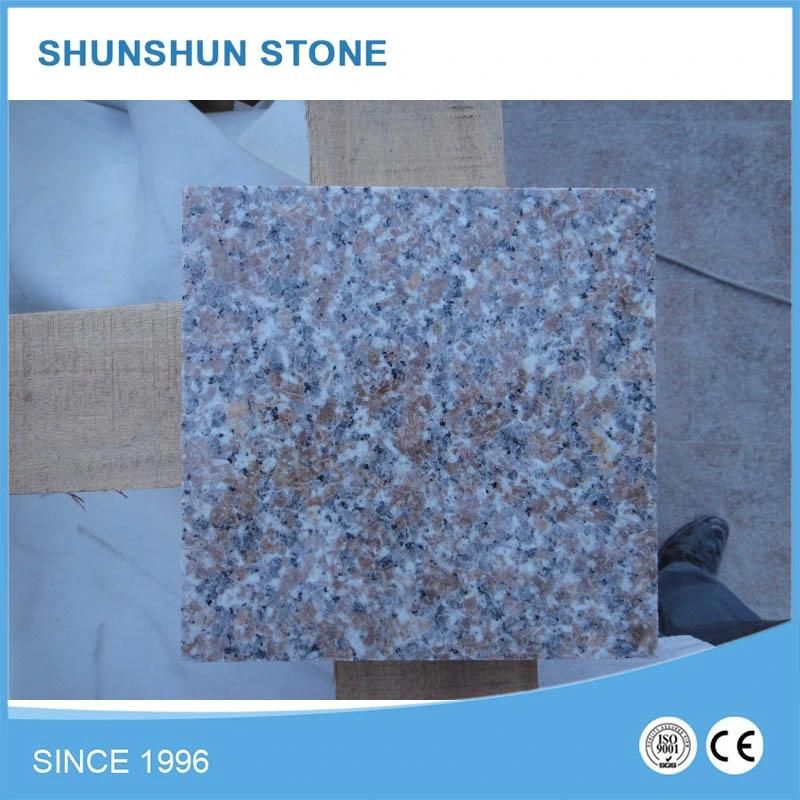 G648 Granite Slab for Countertops/Kitchen Tops/Vanity Tops