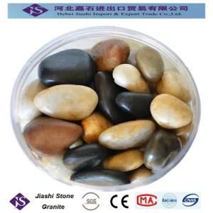 Mixed Colour Pebble Stone Pebblestone and Landscape Stone