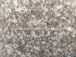 Old Quarry G664 Granite Big Slabs and Tiles