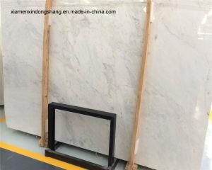 Elise White Polished Slabs&Tiles for Walling/Flooring/Countertop/Kitchen/White Marble