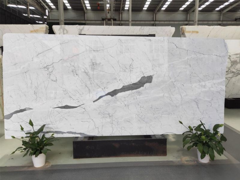 Snow White Stone Marble for Flooring Tiles Slabs Countertops/Worktops/Vanitytops