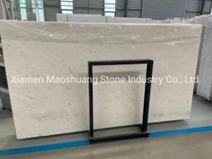Natural Pure White/Absolute White/Crystal White Imported Vietnam White Marble Stone Slab