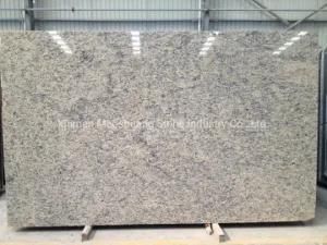 Santa Cecilia Light Granite Slab