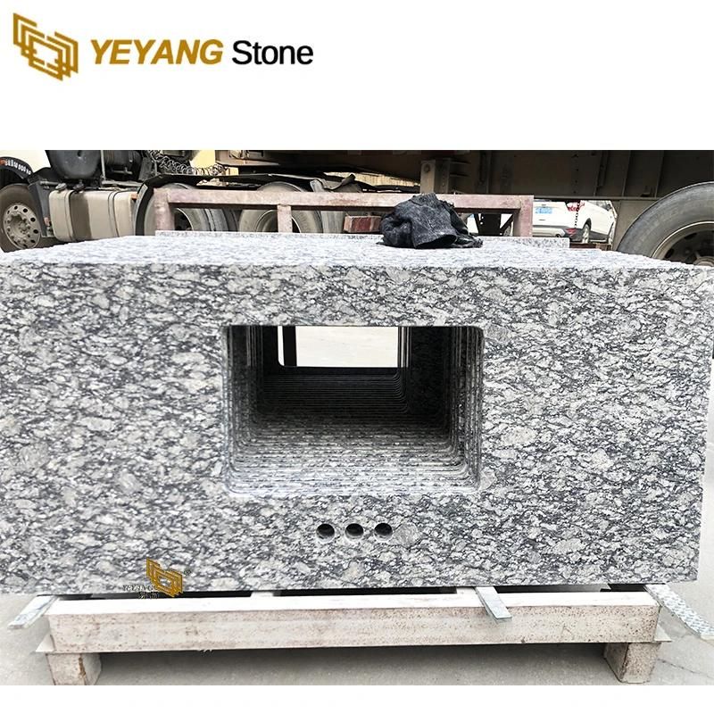 Newly White Granite Slab Countertop/Vantiy Bathroom/Kitchen/Garden/Outside Worktop Wholesale