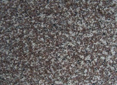 G664 Granite Tiles and Tops Chinese Cheap Bainbrook Brown Granite