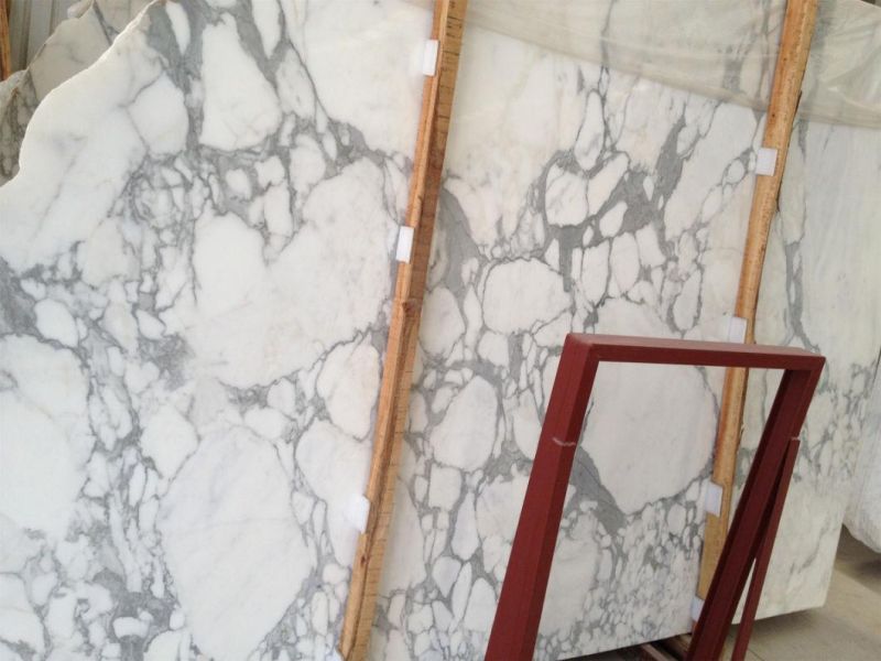 Natural Stone Calaeatta White Marble for Home/Kitchen Decoration