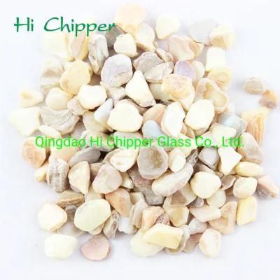 Natural Shell Mother of Pearl for Terrazzo Decoration