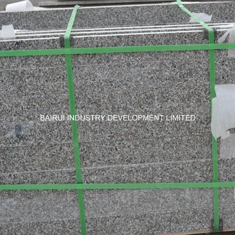 Natural Stone Granite Slab for Building Material