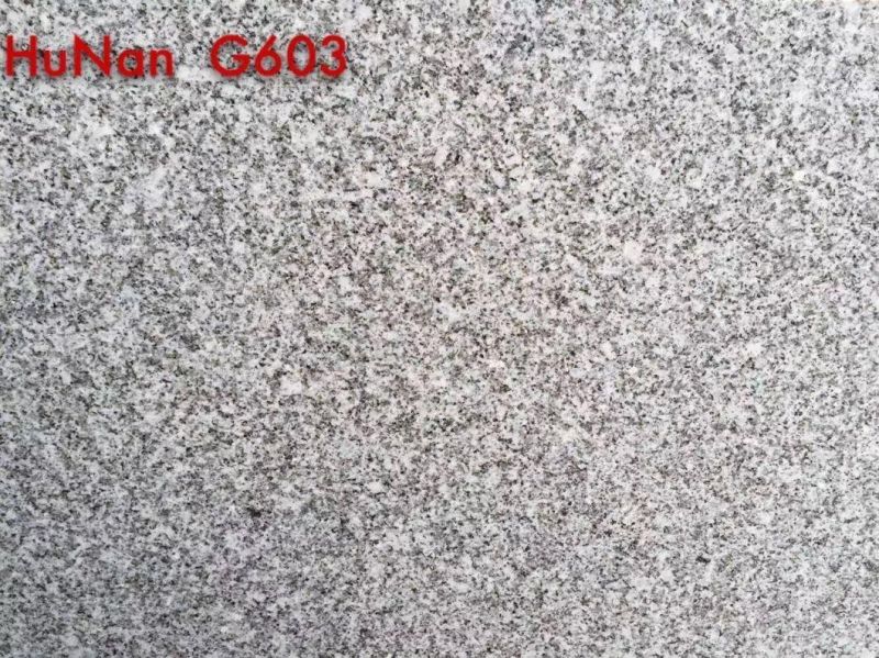 China Top White Granite/Hunan G603 Granite/Hunan G603 Granite for Floor/Background