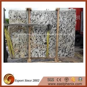 Natural Crema Delicatus Granite Big Slab for Paving/Floor