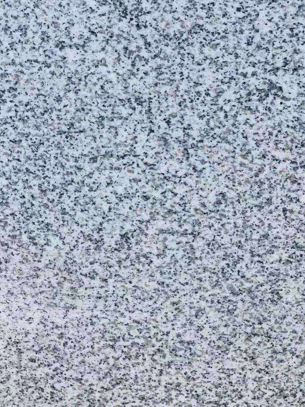 Natural and Cheap Granite Salb for Floor Paving Stone