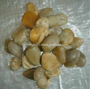 Pebble Stone/Yellow Cobble Stone/Paving Stone