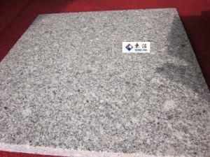 G3741 Grey Granite Flamed Paving Tile