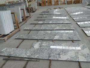 Alaska White Granite Countertop for Kitchen