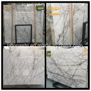 Natural Stone Veins White Marble for Interior Floor/Wall