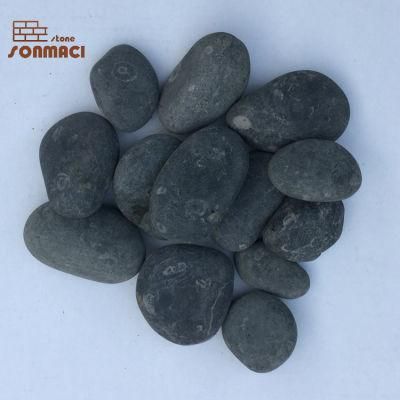 Cheap Price Natural Black River Pebble Stone