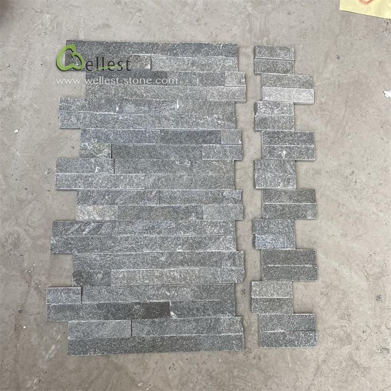 Black Quartzite Exterior Decorate Wall Panel