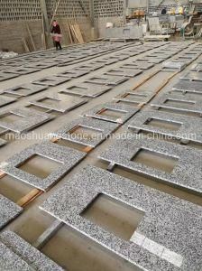 Natural Stone Polished/Honed/ Bushhammered White Mist/ Wave White/ Spray White Granite for Building Countertops/ Bathroom Tops