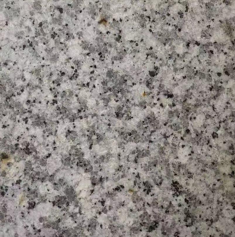 Big White Flower Granite for Office Building Walls Decoration