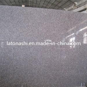 Natural G664 Brown Granite Stone Slab for Paving, Countertop, Tombstone