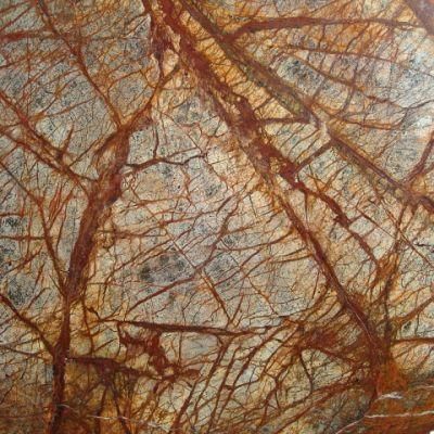Hot Selling Nice Natural Marble Stone Wholesale Rain Forest Brown Marble Rainforest Large Slabs