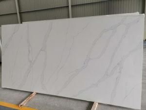 Calacatta White 8823