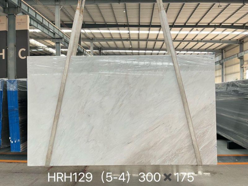 Italy Marble Palissandro White Marble Slab Tile