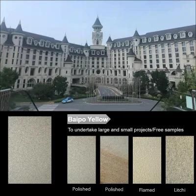 Grey Stone of Chinese Litchi Granite for Stairs and Floor