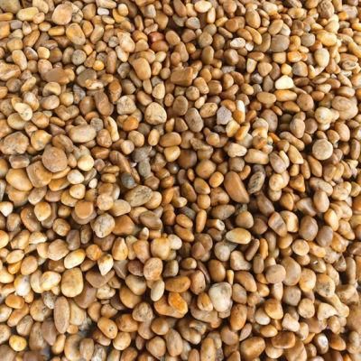 Home Decoration High Glossy Polished Yellow Pebbles for Landscape Garden Floor