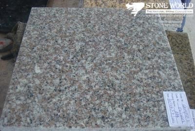 Polished G664 Granite Tile for Flooring/Wall