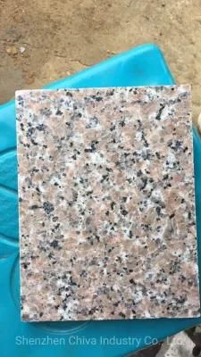 China Rosa/Porrino Pink Granite Cheap Anti-Slip/Flamed/Paving Stone Outdoor Flooring /Polish/Tile/Slabs