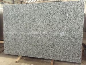 Popular Granite for Counter Top/Kitchen Top